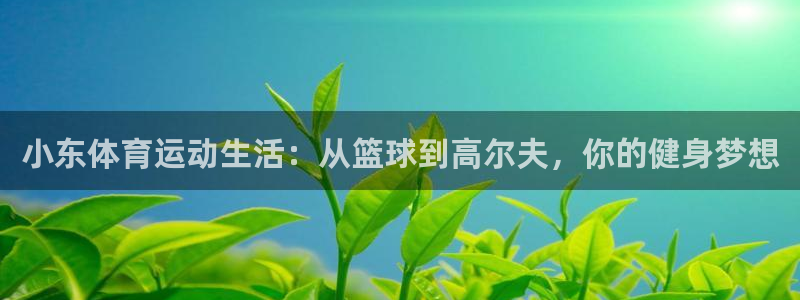 意昂凯捷注册