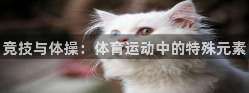 意昂2体育凯捷登陆