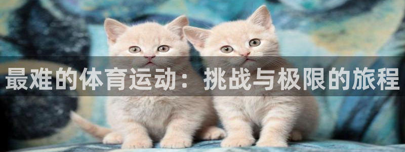 意昂2凯捷开号链接