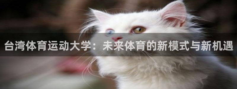 意昂2体育老板是谁