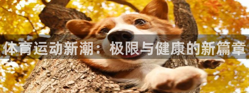 意昂5
