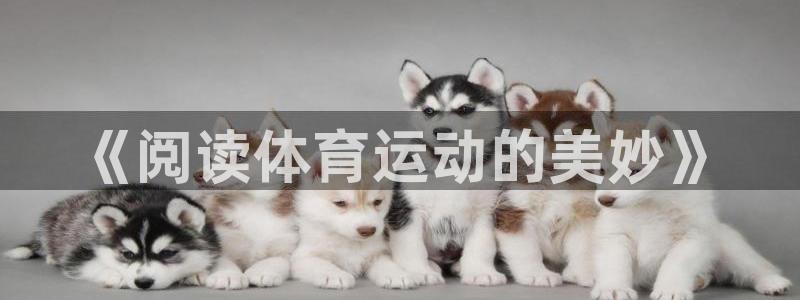 意昂2体育凯捷平台代理