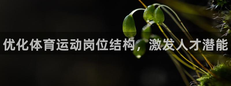 意昂2体育2
