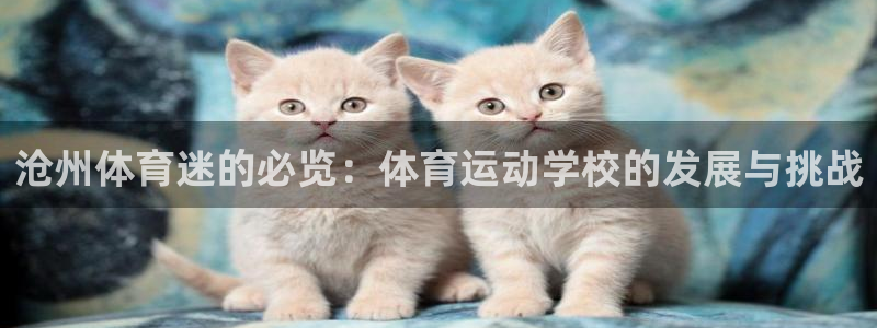 意昂2体育平台注册