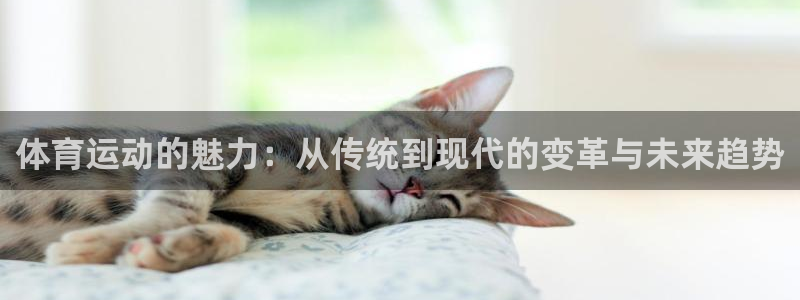 北京意昂科技有限公司