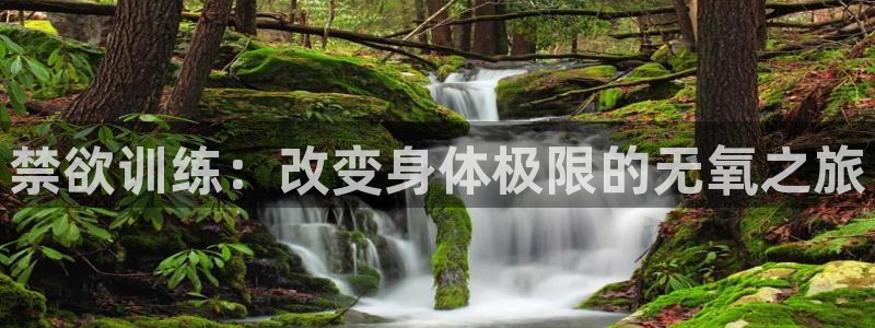 意昂4开户