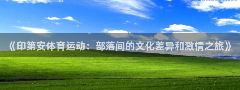 意昂2体育2官网入口