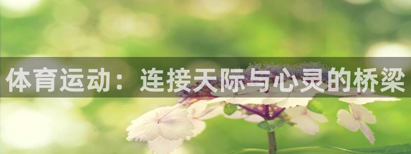 意昂24
