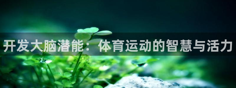 意昂2体育凯捷代理注册