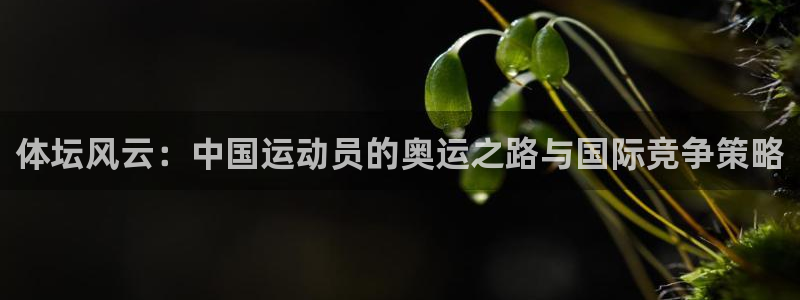 意昂2体育老板是谁