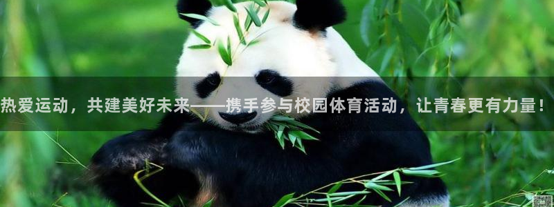 意昂24注册