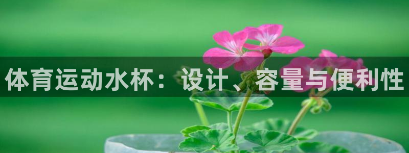 意昂2vk