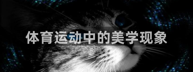 意昂2体育网页版入口