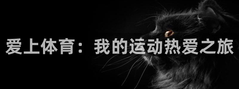 意昂2体育凯捷平台注册